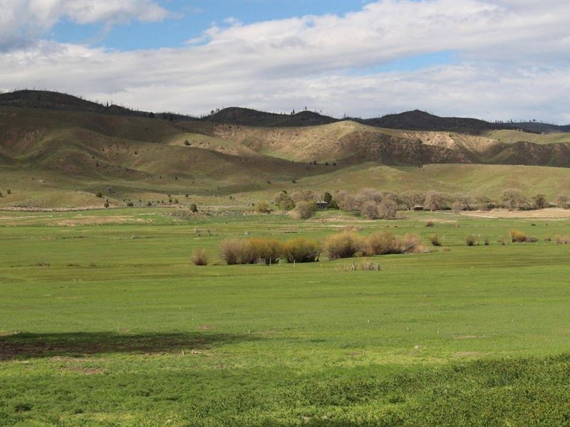 Bridgeport Hunting and Livestock Ra : Bridgeport : Baker County : Oregon