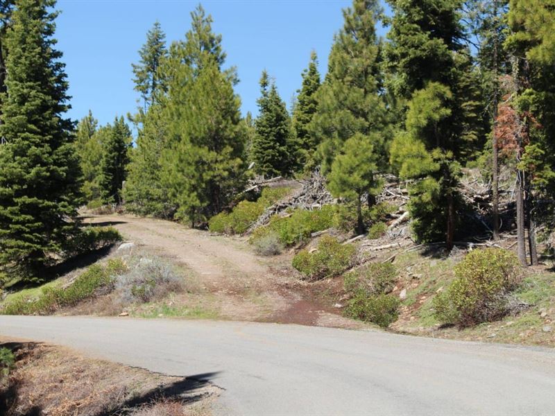 Deer Creek, 152 Acres, Nf-348 Roa : Paisley : Lake County : Oregon