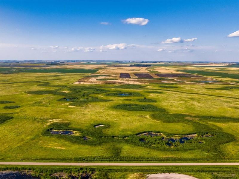 Nelson County Hunting Land : Aneta : Nelson County : North Dakota