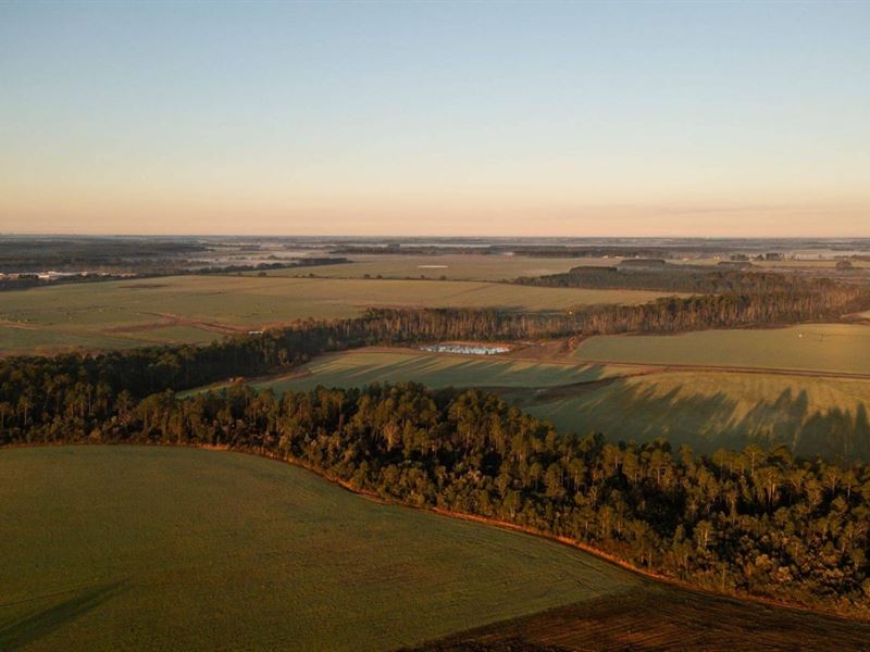 Lillian Farmland + Development : Elberta : Baldwin County : Alabama