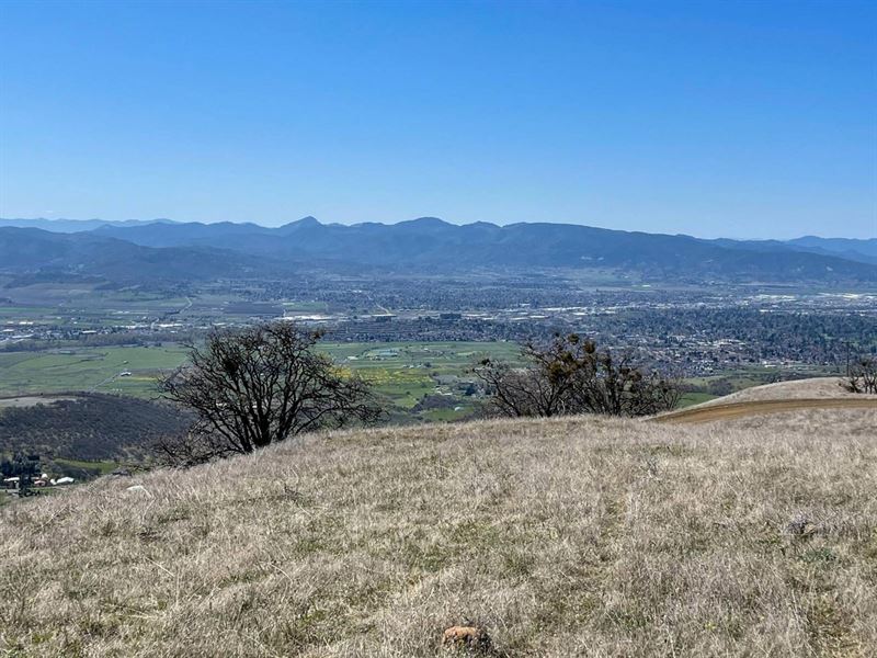 2451 Terri Drive Medford, OR : Medford : Jackson County : Oregon