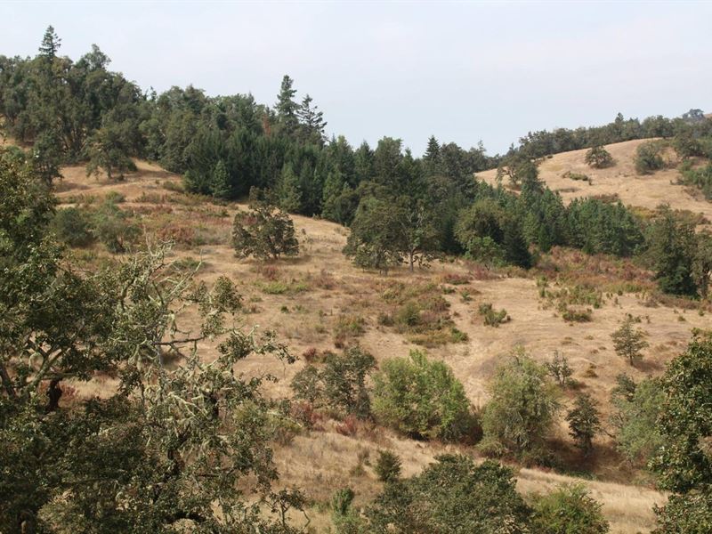 Dawson Sunshine Ranch : Roseburg : Douglas County : Oregon