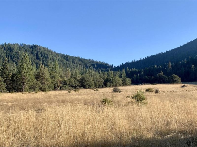 10680 Williams Highway : Grants Pass : Josephine County : Oregon