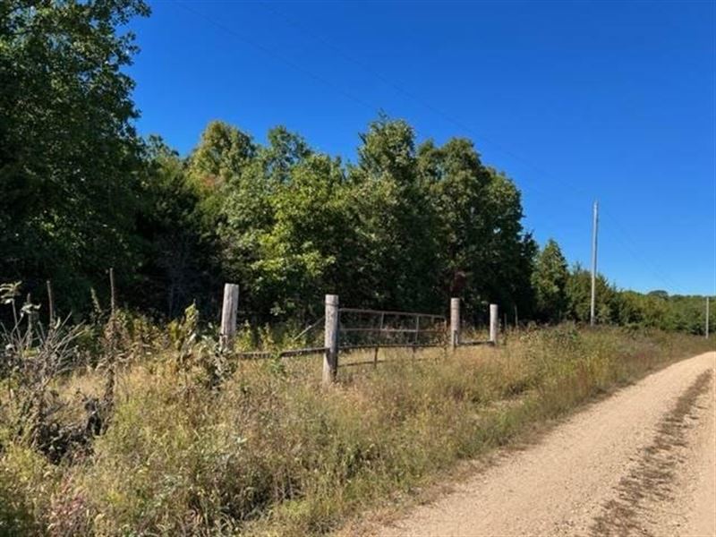 80 Acres in Houston, Missouri : Houston : Texas County : Missouri