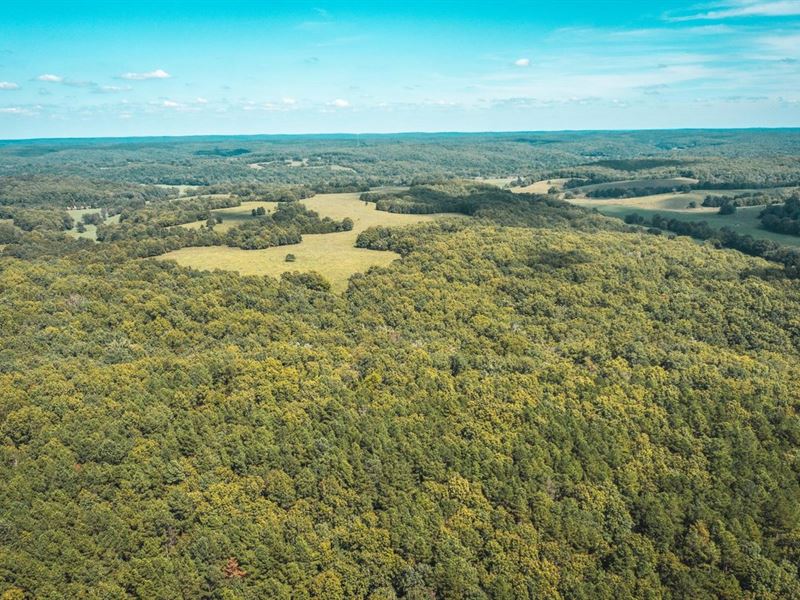 Woods N Water 50 : Salem : Dent County : Missouri
