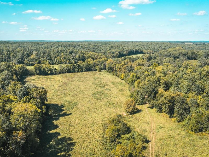 Woods N Water 110 : Salem : Dent County : Missouri