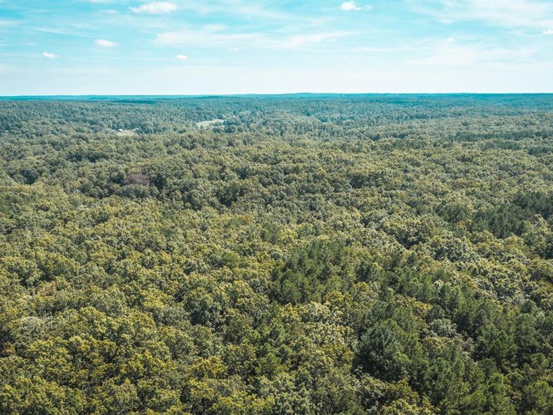 Woods N Water 80 : Salem : Dent County : Missouri