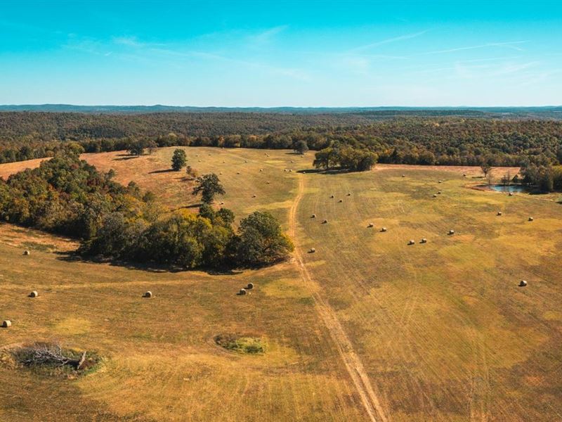 Gunnison Ranch & Hunt : Kirbyville : Taney County : Missouri
