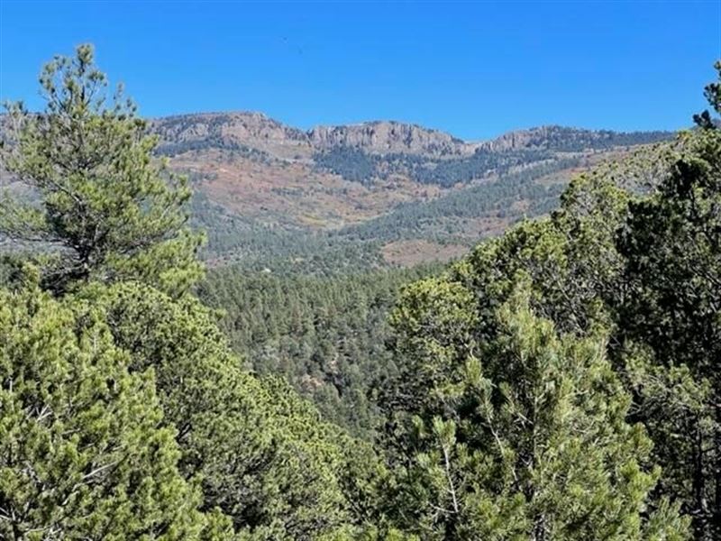 33460 Alpine Meadows Drive G-16, Tr : Trinidad : Las Animas County : Colorado