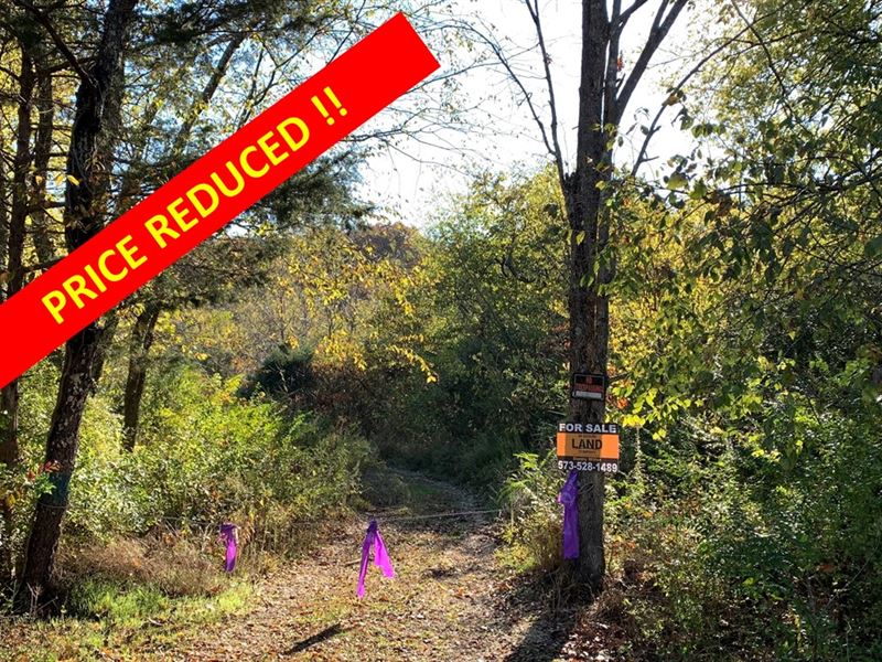 Winona Acreage : Winona : Shannon County : Missouri