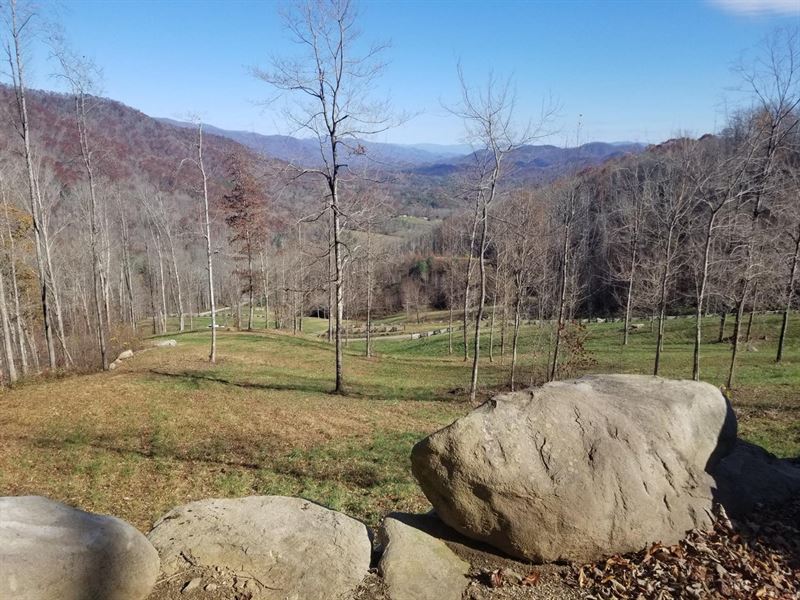 75 Acres Adjoining U.S. Forest : Robbinsville : Graham County : North Carolina