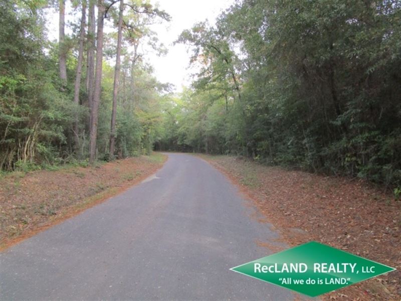 10.4 Ac, Wooded Home Site Tract : Jasper : Jasper County : Texas