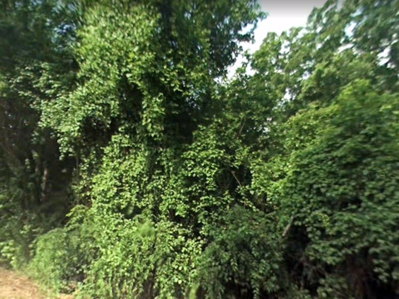 No Regrets on 0.16 Acre of Land : Mount Vernon : Franklin County : Texas