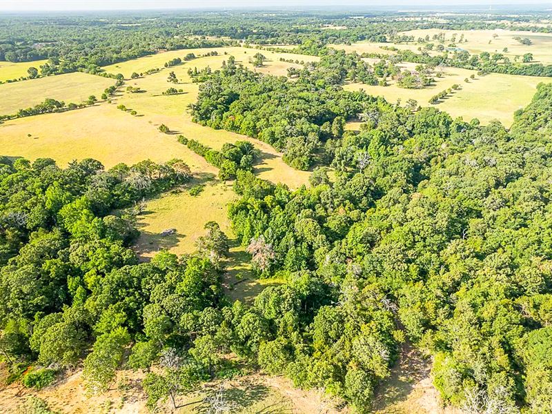 84 Acres, US Hwy 287 T-3 : Tennessee Colony : Anderson County : Texas