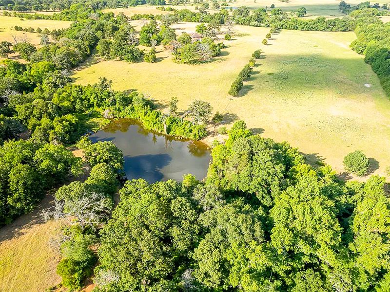 97 Acres, US Hwy 287 T-6 : Tennessee Colony : Anderson County : Texas
