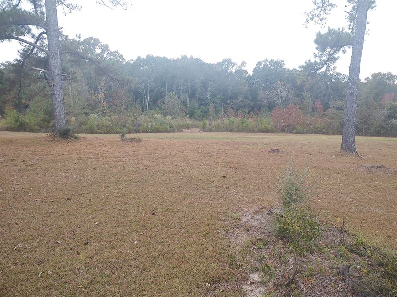 The Ariton Homestead : Ariton : Dale County : Alabama