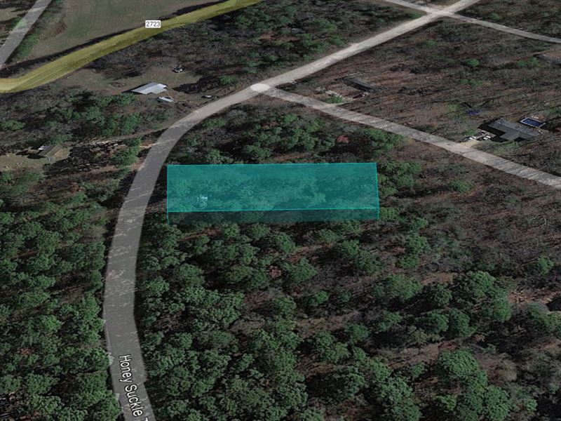 Recollect Memories on 0.15 Acre : Mount Vernon : Franklin County : Texas