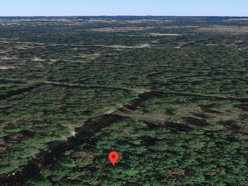 Luxurious 0.16 Acre in Texas : Livingston : Polk County : Texas