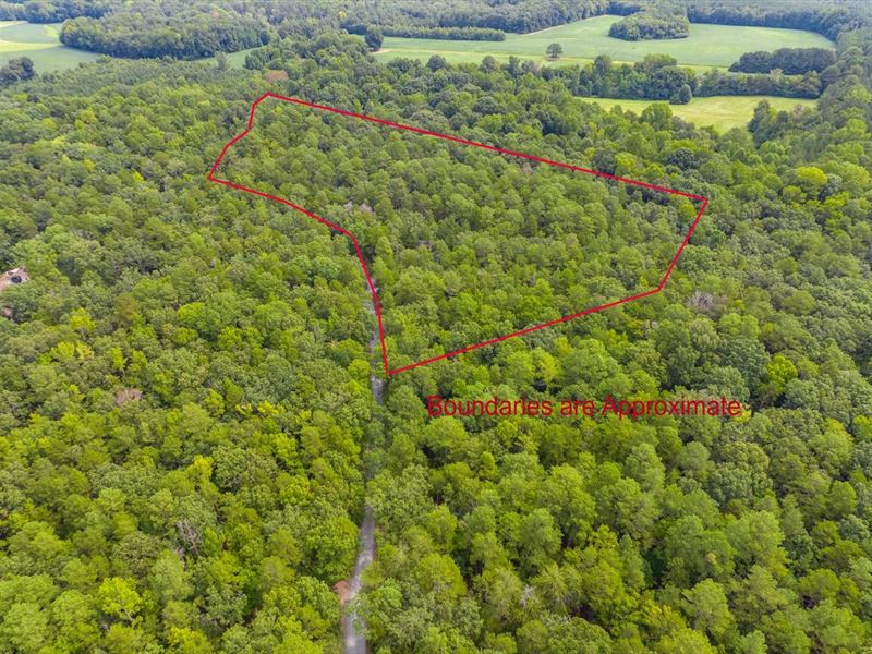 Private Wooded Residential Acreage : Siler City : Chatham County : North Carolina