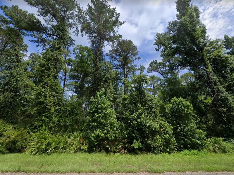 .26 Acre of Vacation Style Living : Satsuma : Putnam County : Florida
