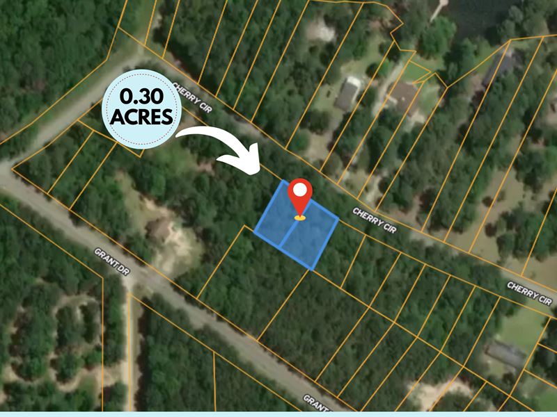 2 Lots Being Sold As One : Prosperity : Newberry County : South Carolina