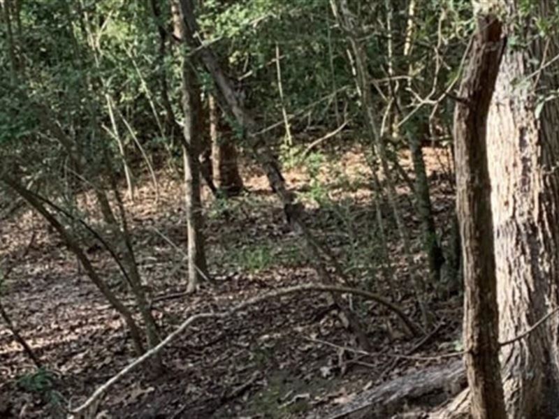 Half Acre Land, Unrestricted : Caldwell : Burleson County : Texas