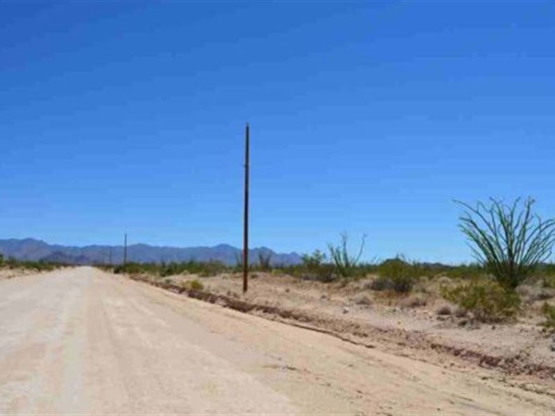1.06 Acre in Mojave County, AZ : Yucca : Mohave County : Arizona