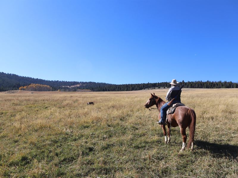 Moyer Creek Ranch : Salmon : Lemhi County : Idaho
