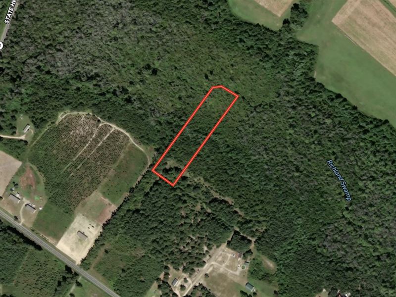 3.32 Acres of Residential and Recre : Pembroke : Robeson County : North Carolina