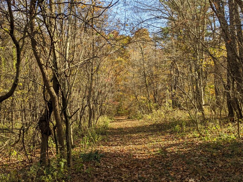 Secluded Build Site on 20+ Acres : Newark : Licking County : Ohio