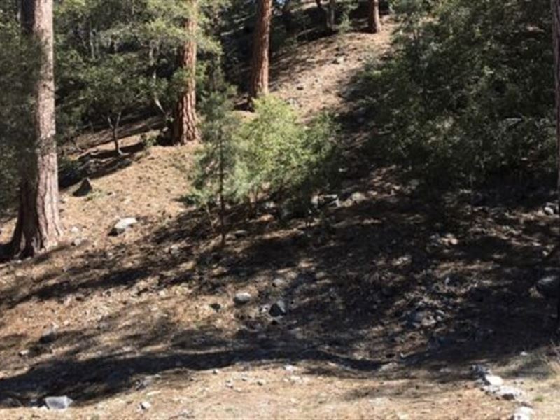 Picturesque Mountain Homesite : Pine Mountain Club : Kern County : California