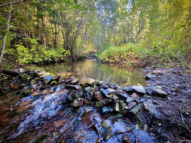 West Mountain Creek Tract : Superior : Mineral County : Montana