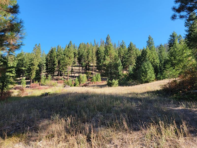 Keystone Tract : Superior : Mineral County : Montana