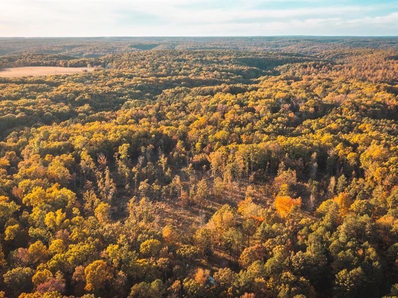 Golden Valley : Hartshorn : Texas County : Missouri
