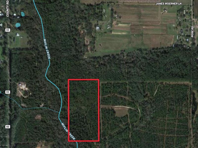 20 Baldwin Co Elberta : Elberta : Baldwin County : Alabama