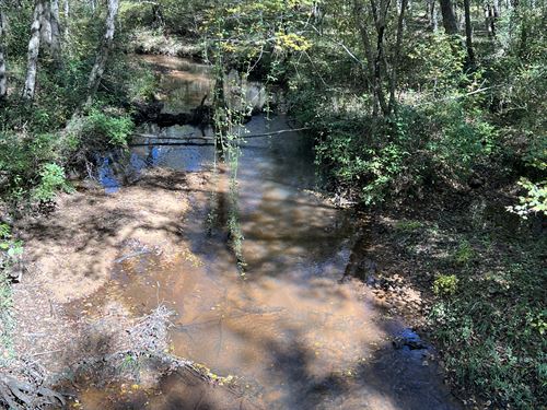 Land For Sale In Webster County Ga