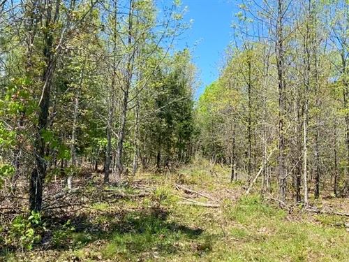 Owner Financed Acreage in MO : Ava : Douglas County : Missouri