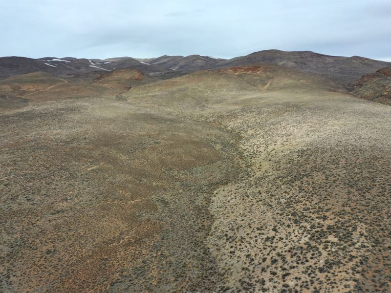 40 Acres of Land in Elko County, NV : Ryndon : Elko County : Nevada