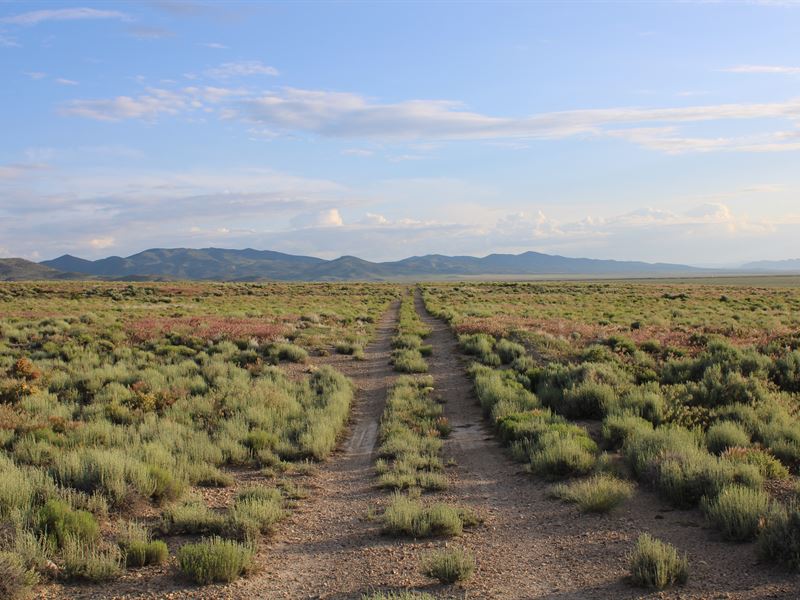 This Is for Draft Only : Elko : Elko County : Nevada
