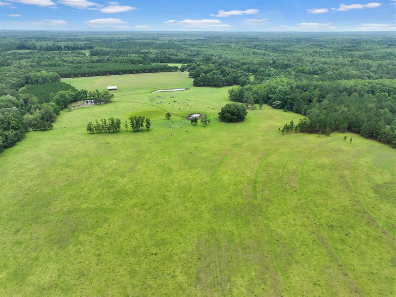 77 Ac Farm w Barn, Pond & Well : Monticello : Jefferson County : Florida