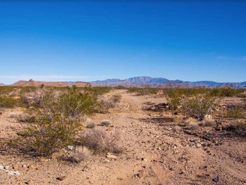 Peace & Quiet in The Arizona Desert : Golden Valley : Mohave County : Arizona