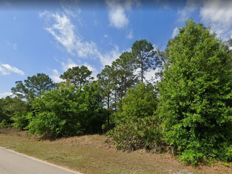 Retire & Unwind in Highlands County : Sebring : Highlands County : Florida