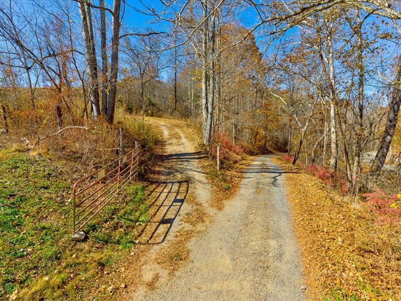 30 Unrestricted Acres for Sale : Rogersville : Hawkins County : Tennessee