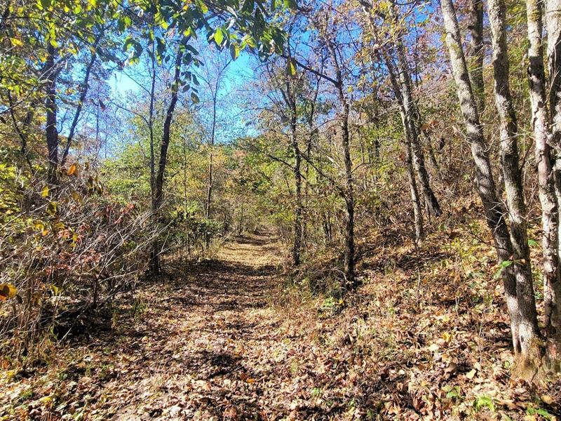 Land for Sale in Southern Missouri : Dora : Ozark County : Missouri
