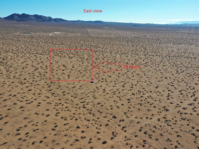 Room to Roam : El Mirage : San Bernardino County : California
