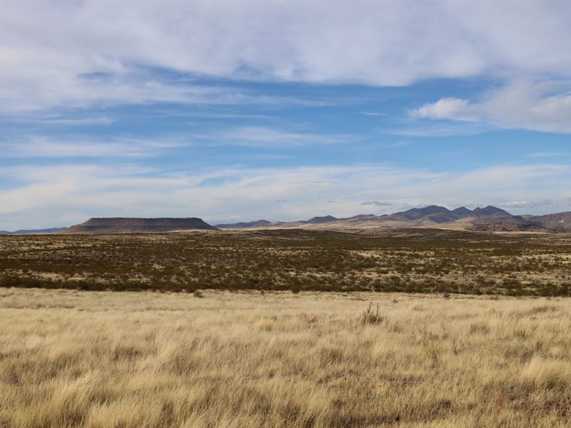 Sierra Vista Ranch : Faywood : Grant County : New Mexico