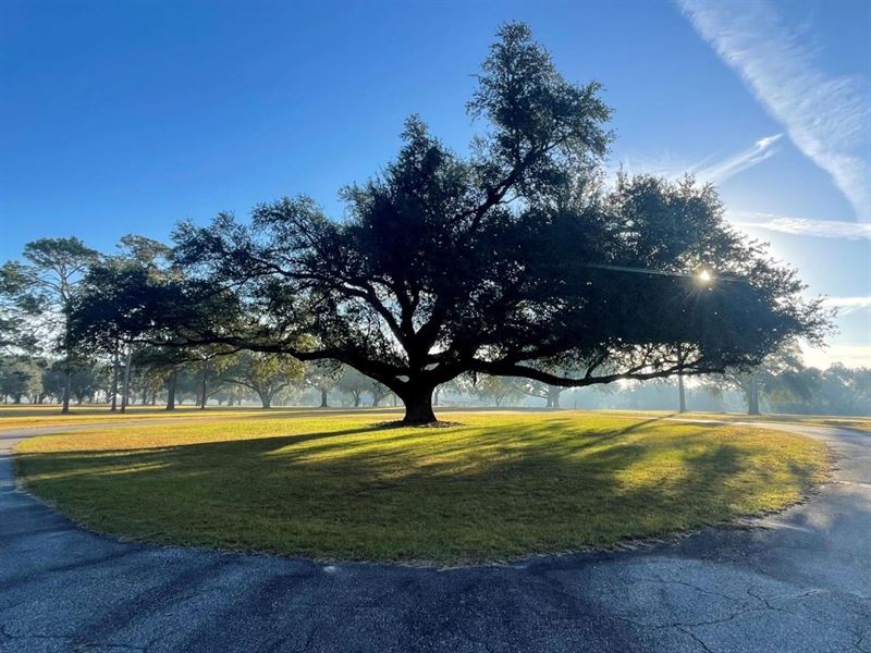 Moell Oaks : Bainbridge : Decatur County : Georgia