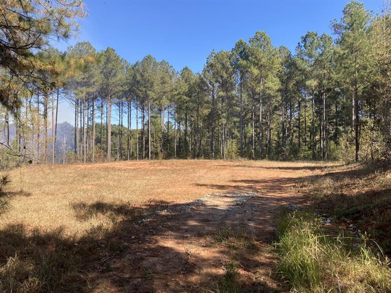 Construction Ready Lots-Morgan Coun : Madison : Morgan County : Georgia