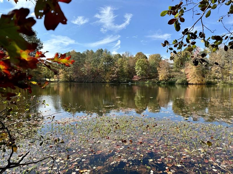 Blacks Cabin Way, 2 Acres : Dallas : Paulding County : Georgia