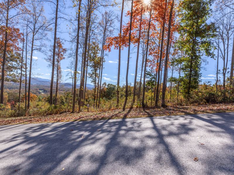 Lake and Mountain Views : Blairsville : Union County : Georgia